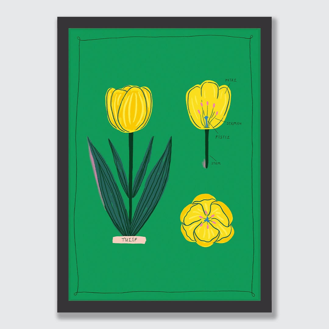 Tulip Art Print by Crissie Rodda