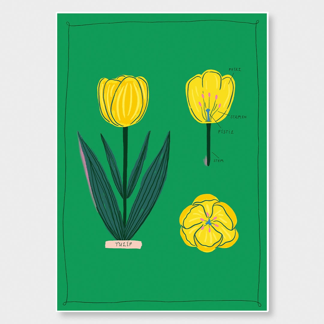 Tulip Art Print by Crissie Rodda