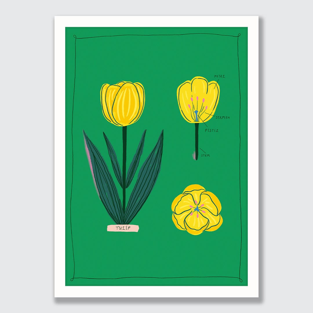 Tulip Art Print by Crissie Rodda