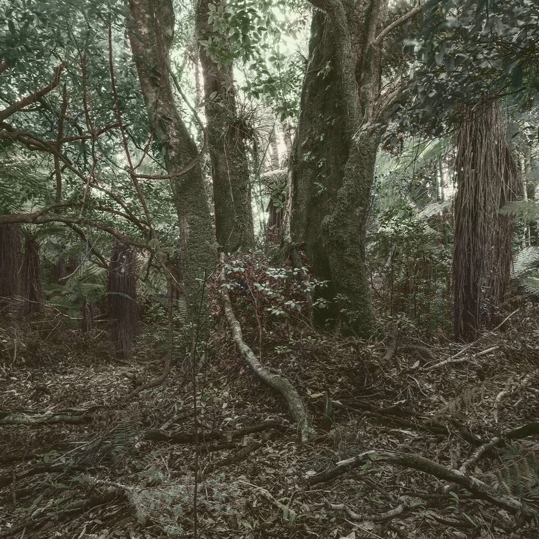 Tūmanako Photographic Print by Rakai Karaitiana
