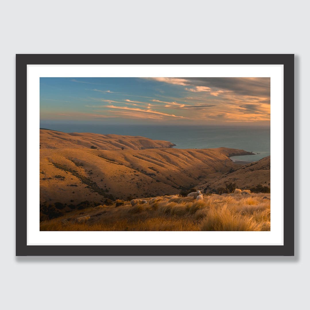 Tumbledown - Te Oka Photographic Print by Mike Mackinven
