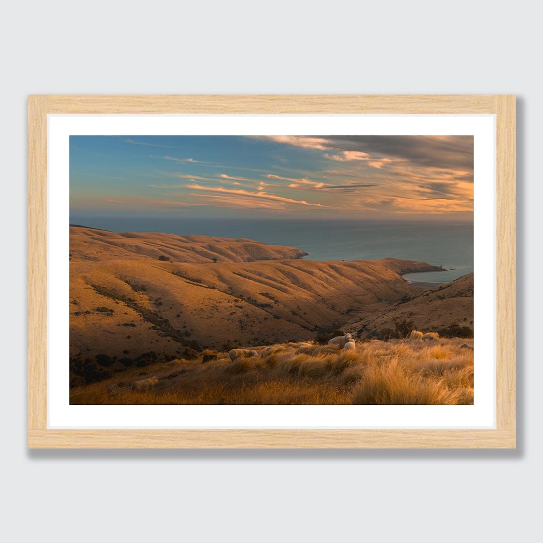 Tumbledown - Te Oka Photographic Print by Mike Mackinven