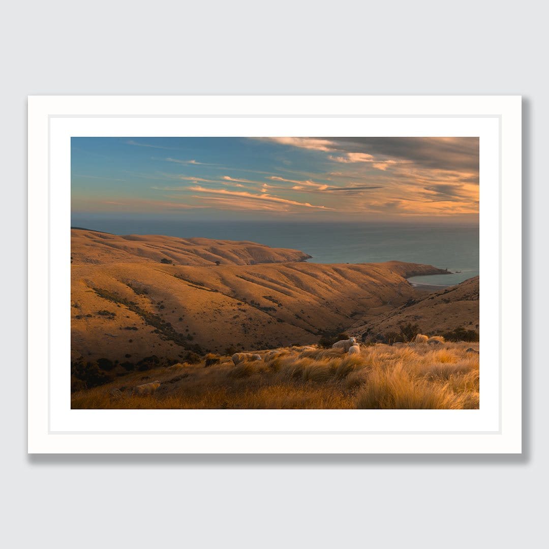 Tumbledown - Te Oka Photographic Print by Mike Mackinven