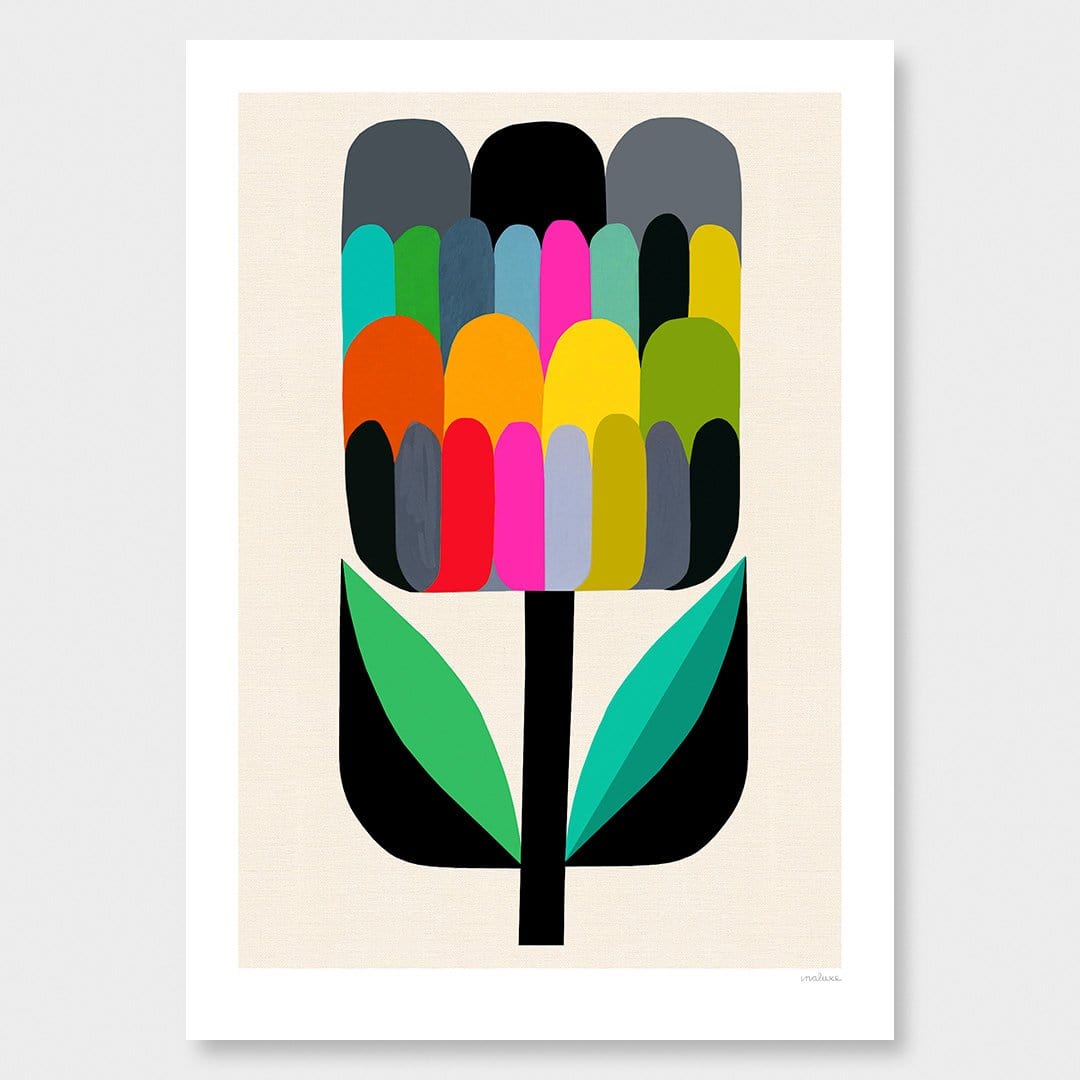 Waratah Bud Art Print by Inaluxe