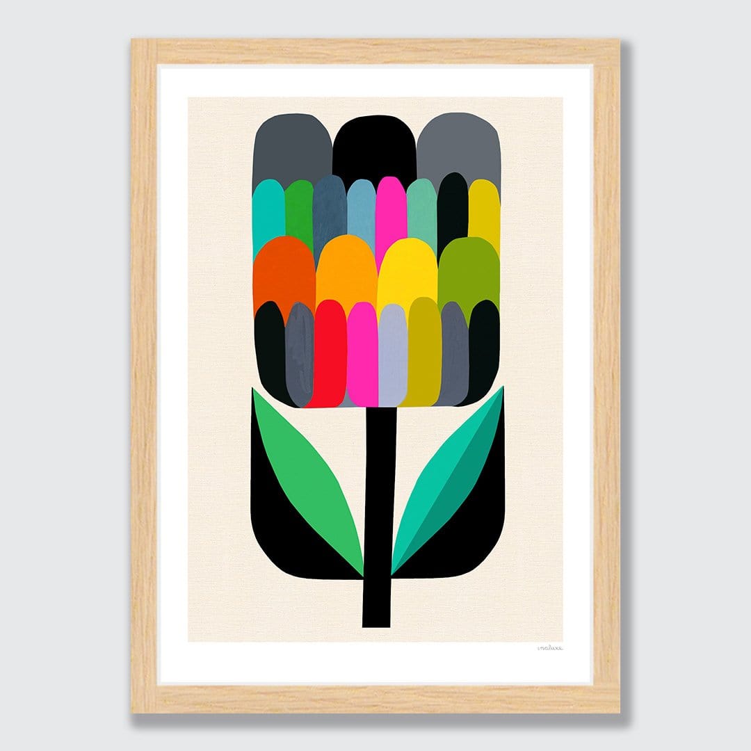 Waratah Bud Art Print by Inaluxe