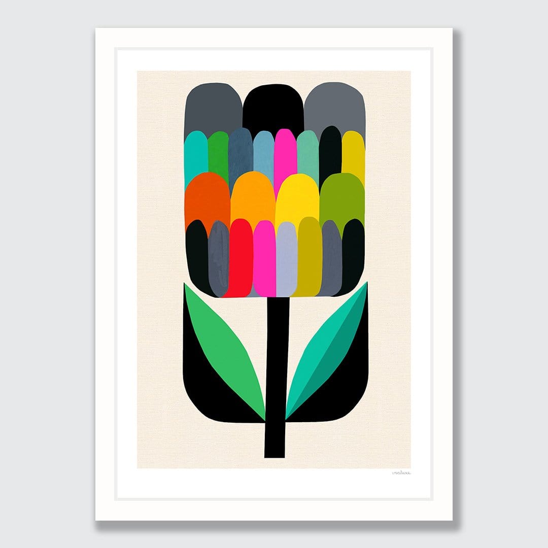 Waratah Bud Art Print by Inaluxe