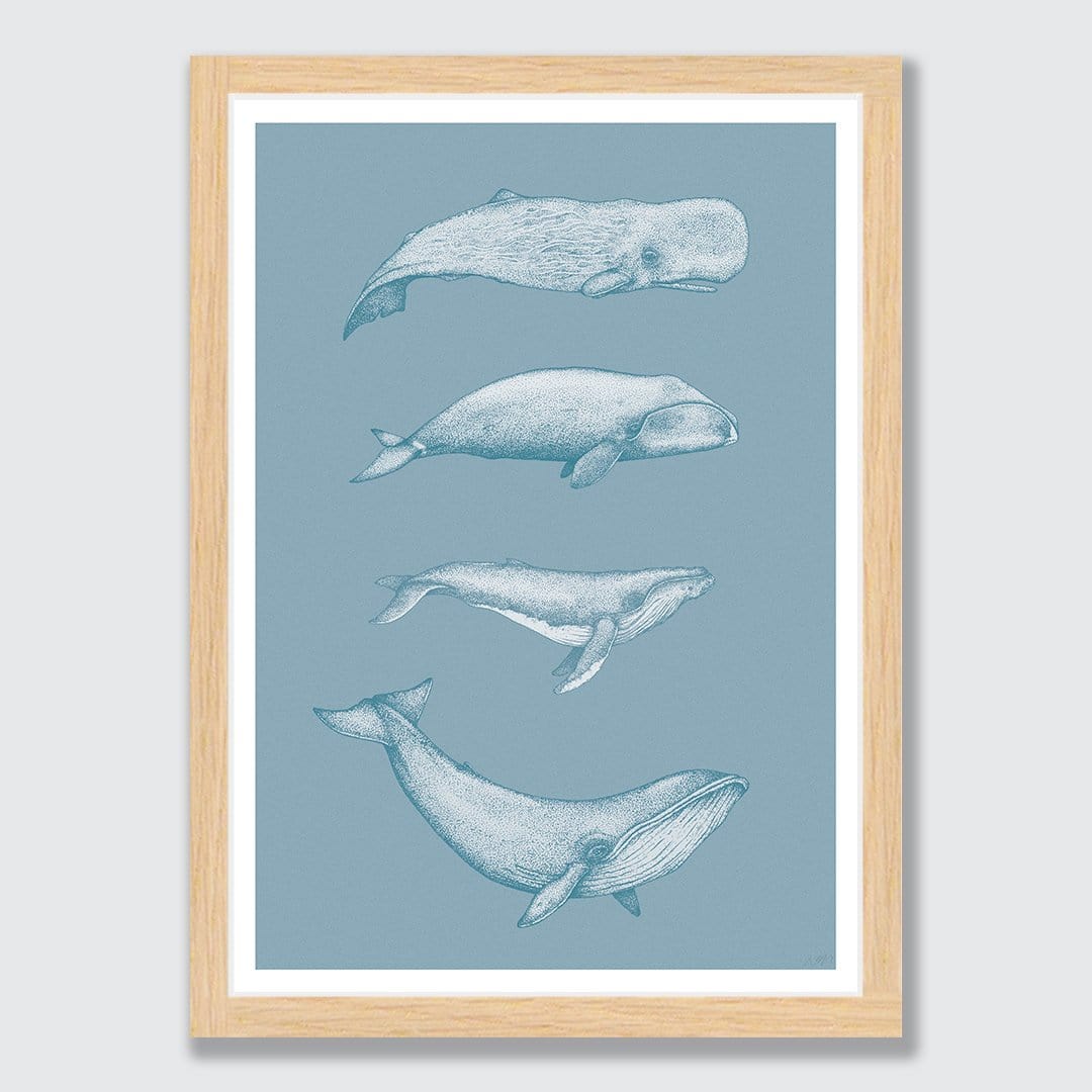 blue whale pictures to print