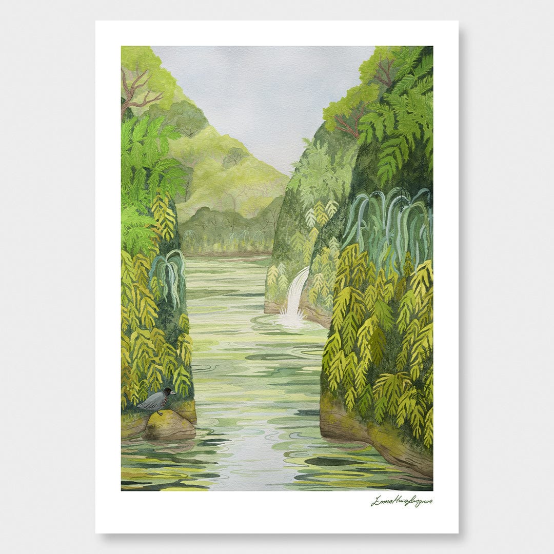 Whio on the Whanganui River Art Print by Emma Huia Lovegrove
