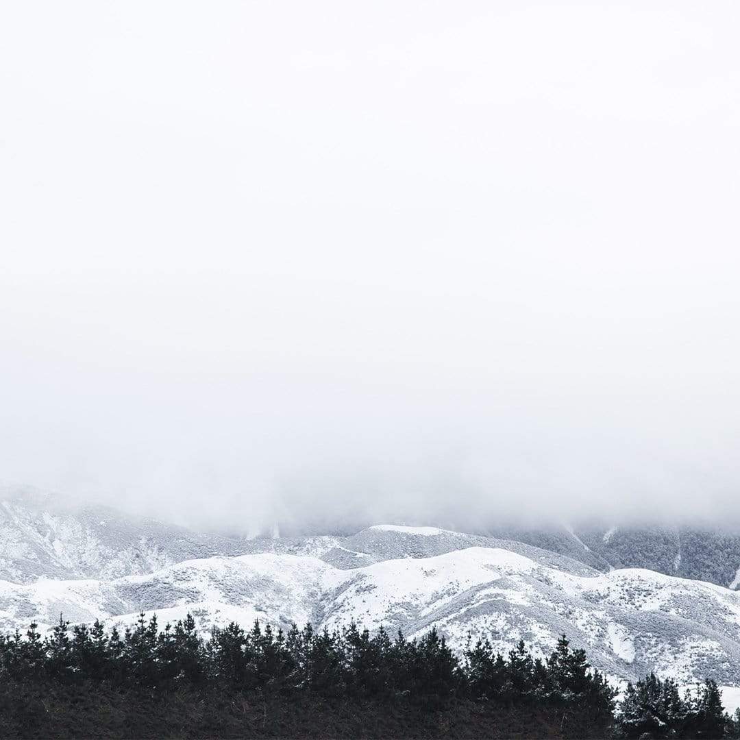 White Hukarere Photographic Art Print by Elliot Alexander
