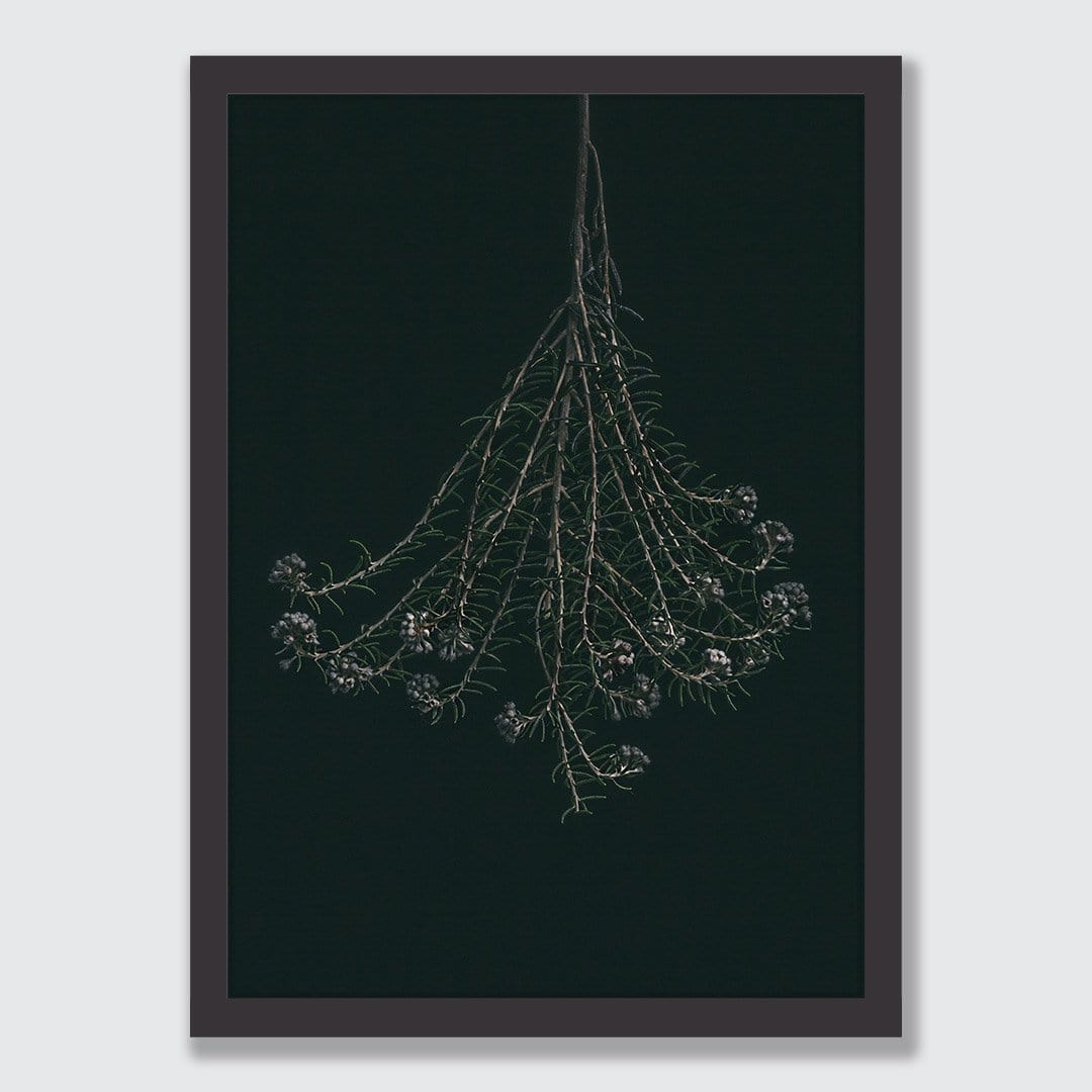 Wildflower Photographic Print by Maegan McDowell