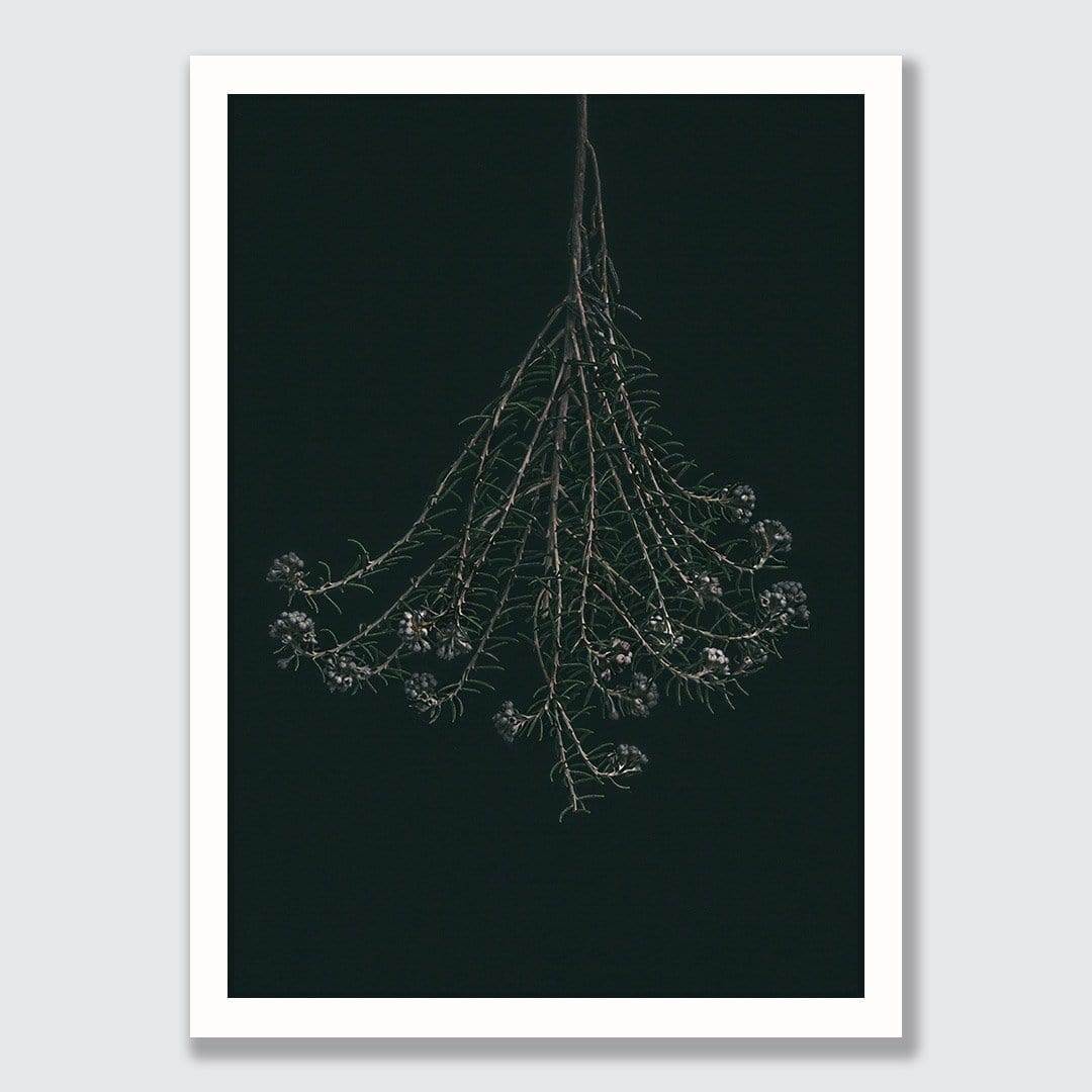 Wildflower Photographic Print by Maegan McDowell