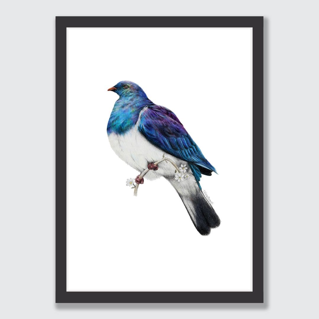Wood Pigeon Art Print by Olivia Bezett