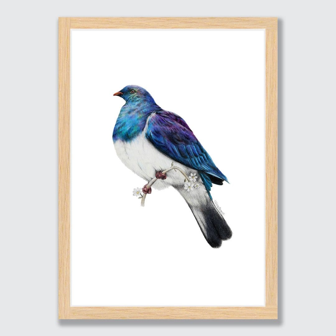 Wood Pigeon Art Print by Olivia Bezett