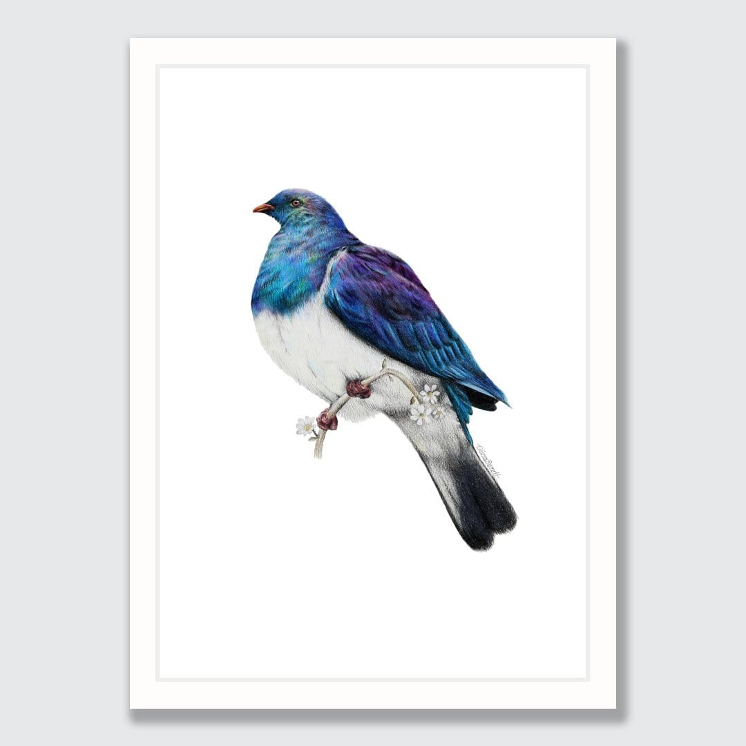Wood Pigeon Art Print by Olivia Bezett