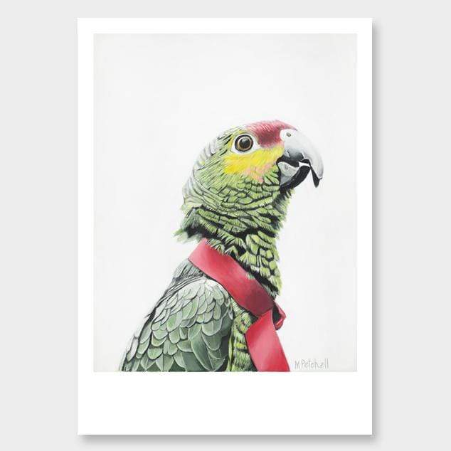 Algernon Parrot Art Print by Margaret Petchell