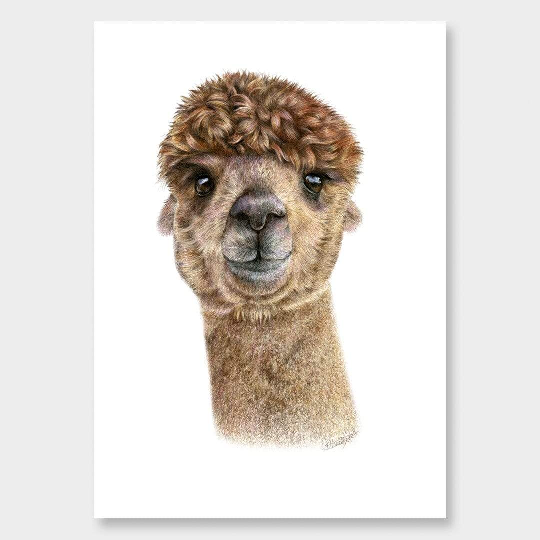 Alpaca Art Print by Olivia Bezett