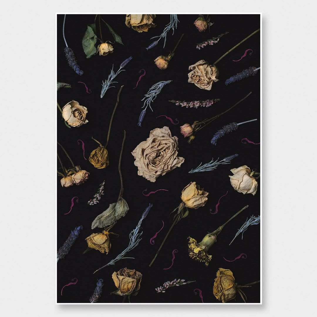 Aphrodite Photographic Print by Maegan McDowell