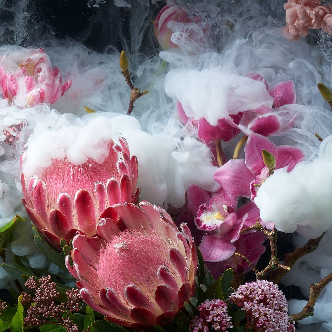Ascending Blooms Photographic Print by Georgie Malyon