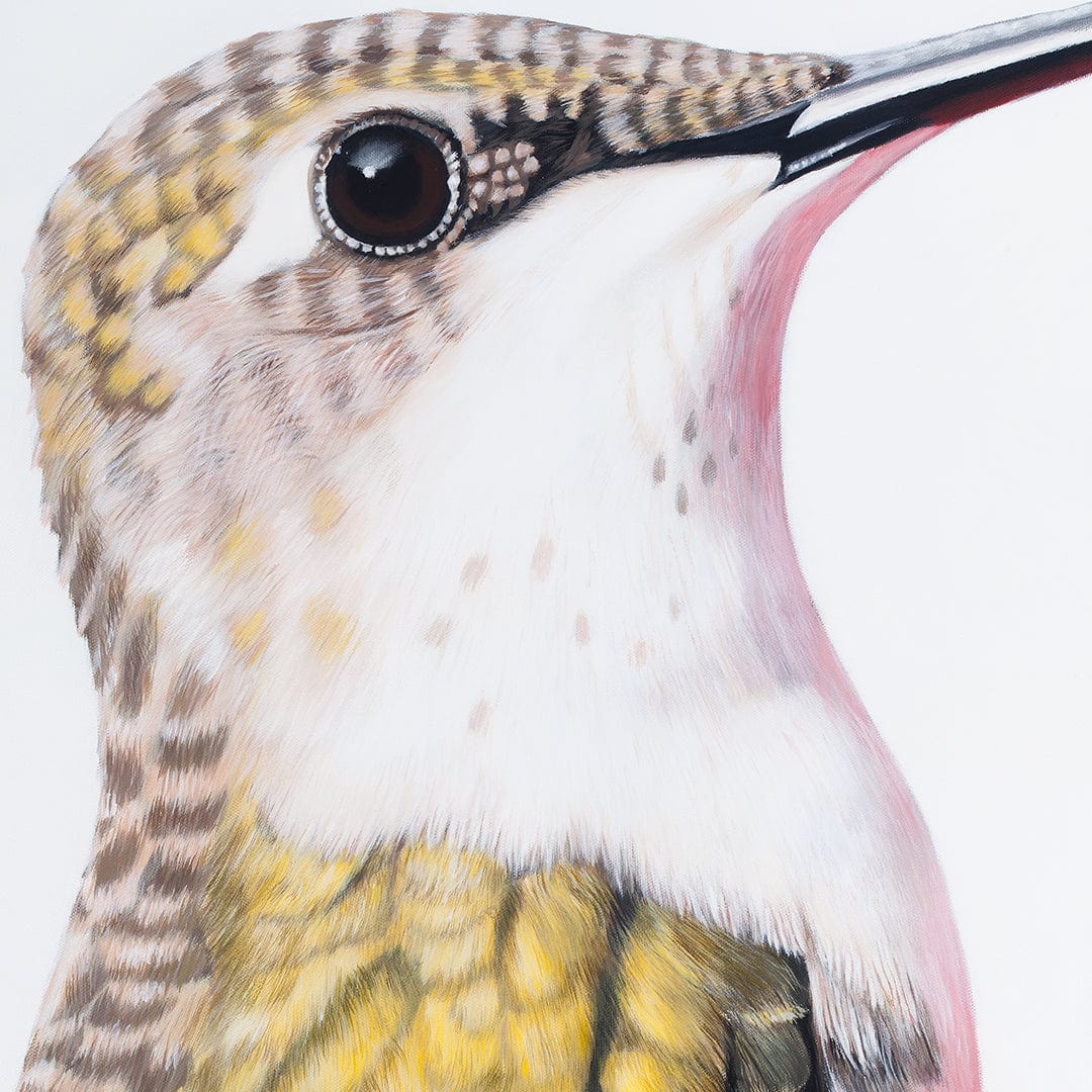 Ava Hummingbird Art Print by Margaret Petchell