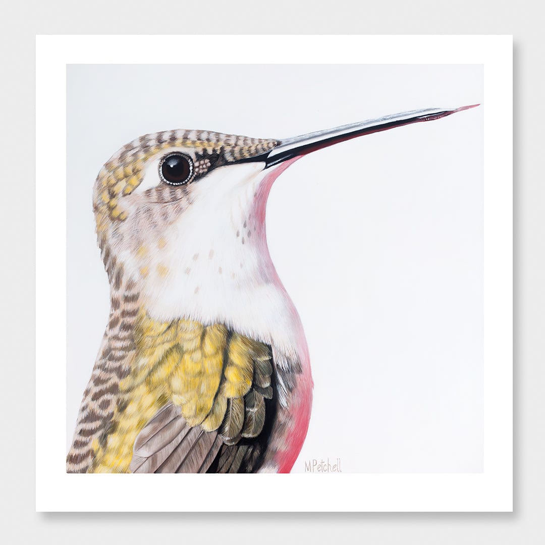 Ava Hummingbird Art Print by Margaret Petchell