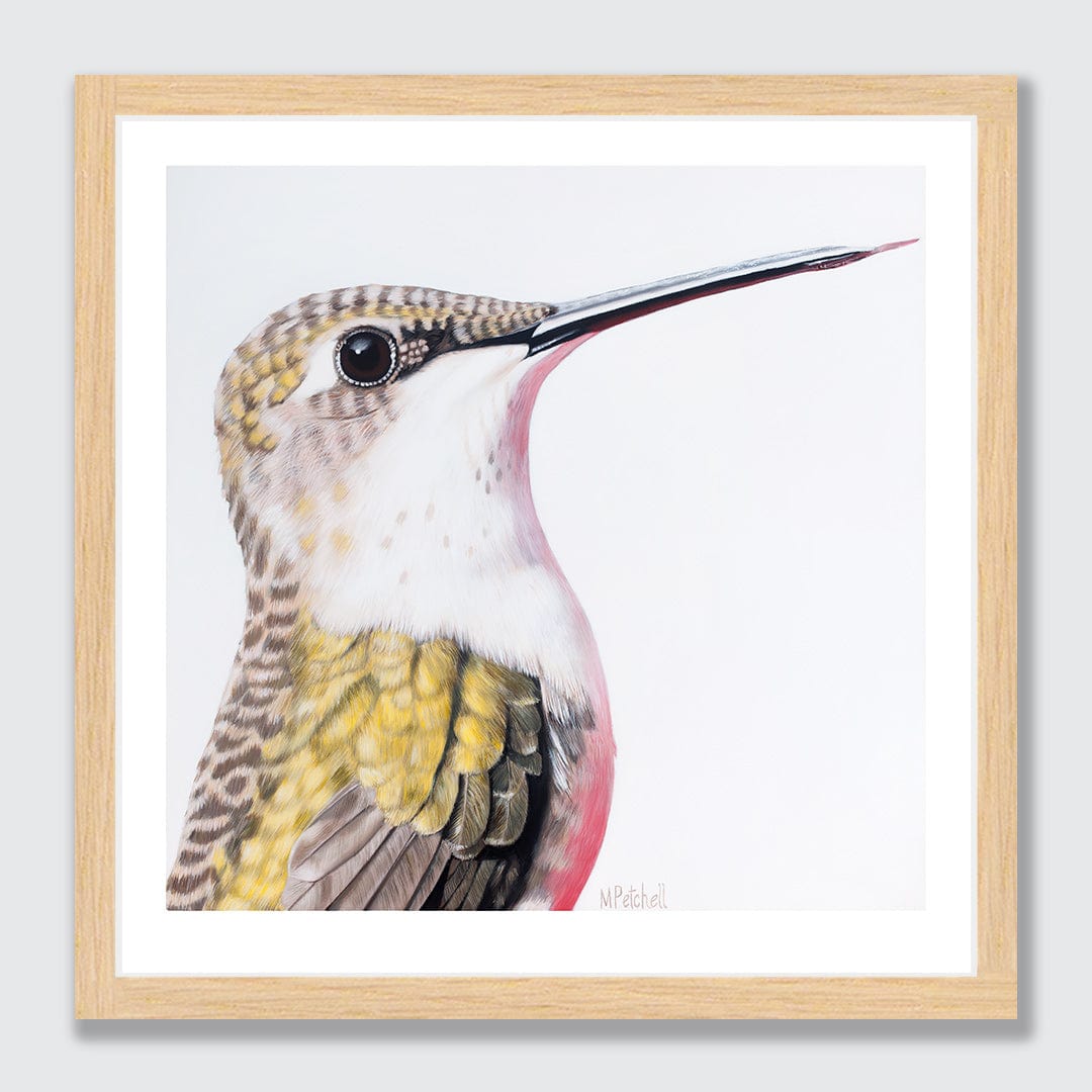Ava Hummingbird Art Print by Margaret Petchell