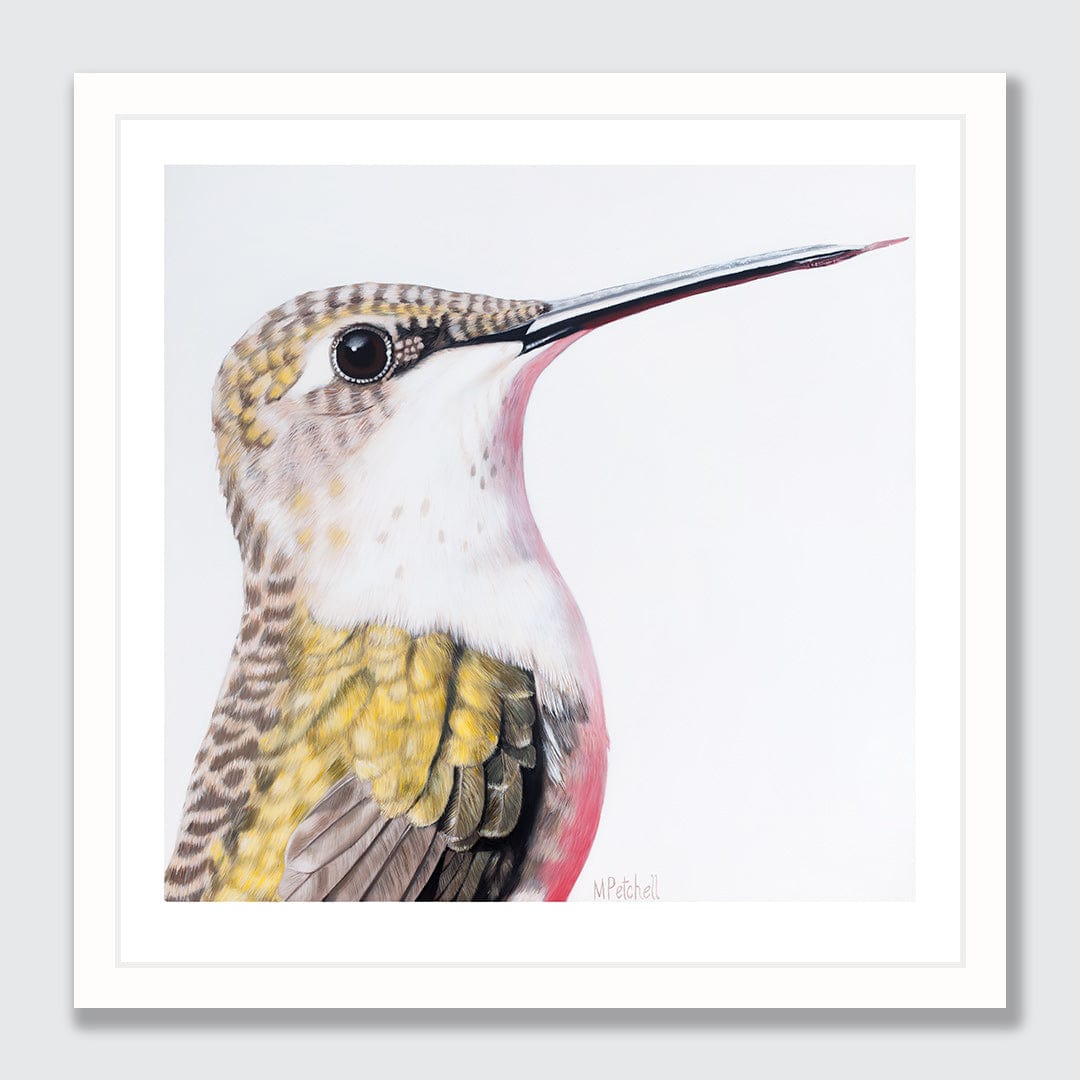 Ava Hummingbird Art Print by Margaret Petchell