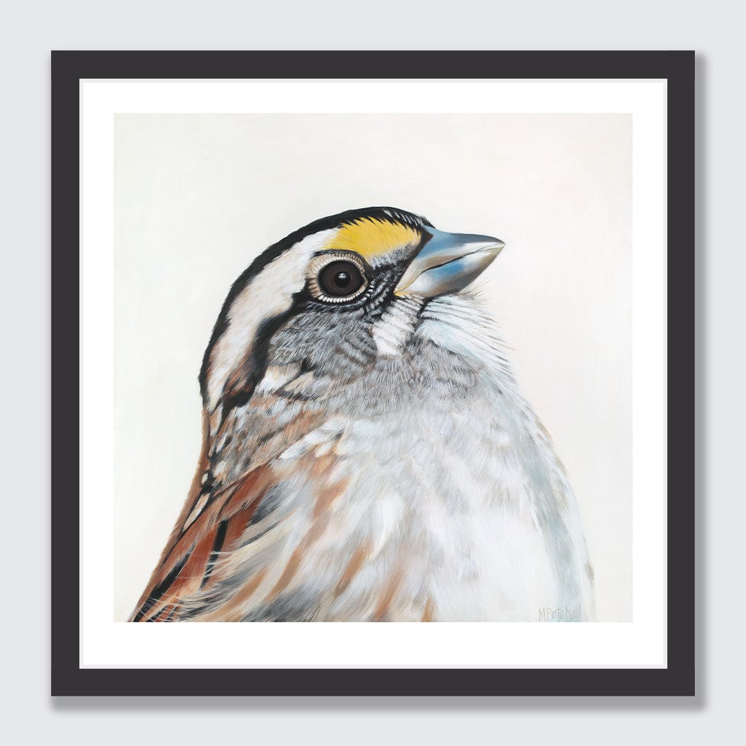 Bijou Sparrow Art Print by Margaret Petchell