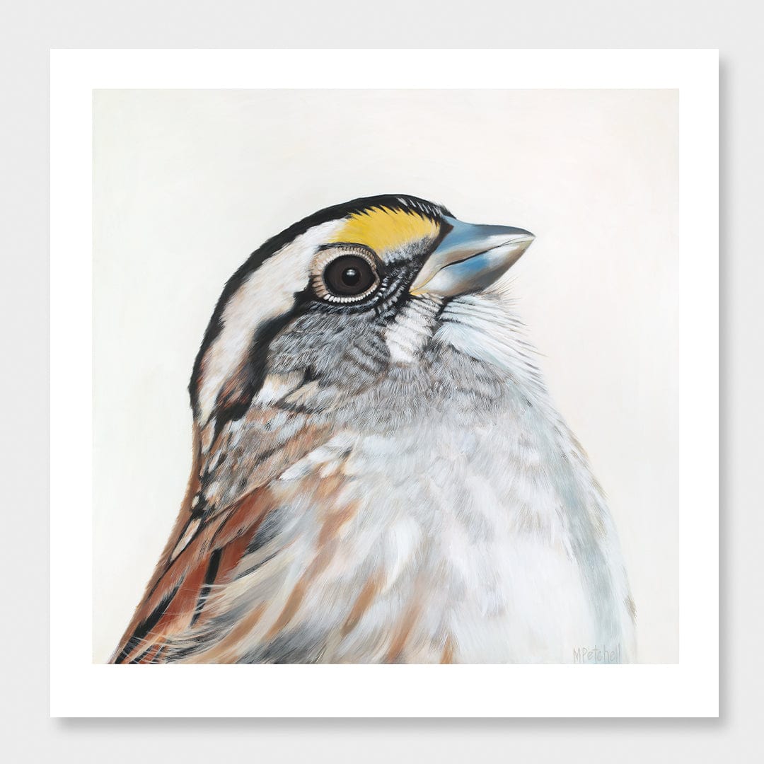Bijou Sparrow Art Print by Margaret Petchell