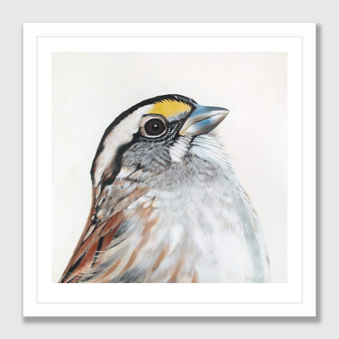 Bijou Sparrow Art Print by Margaret Petchell