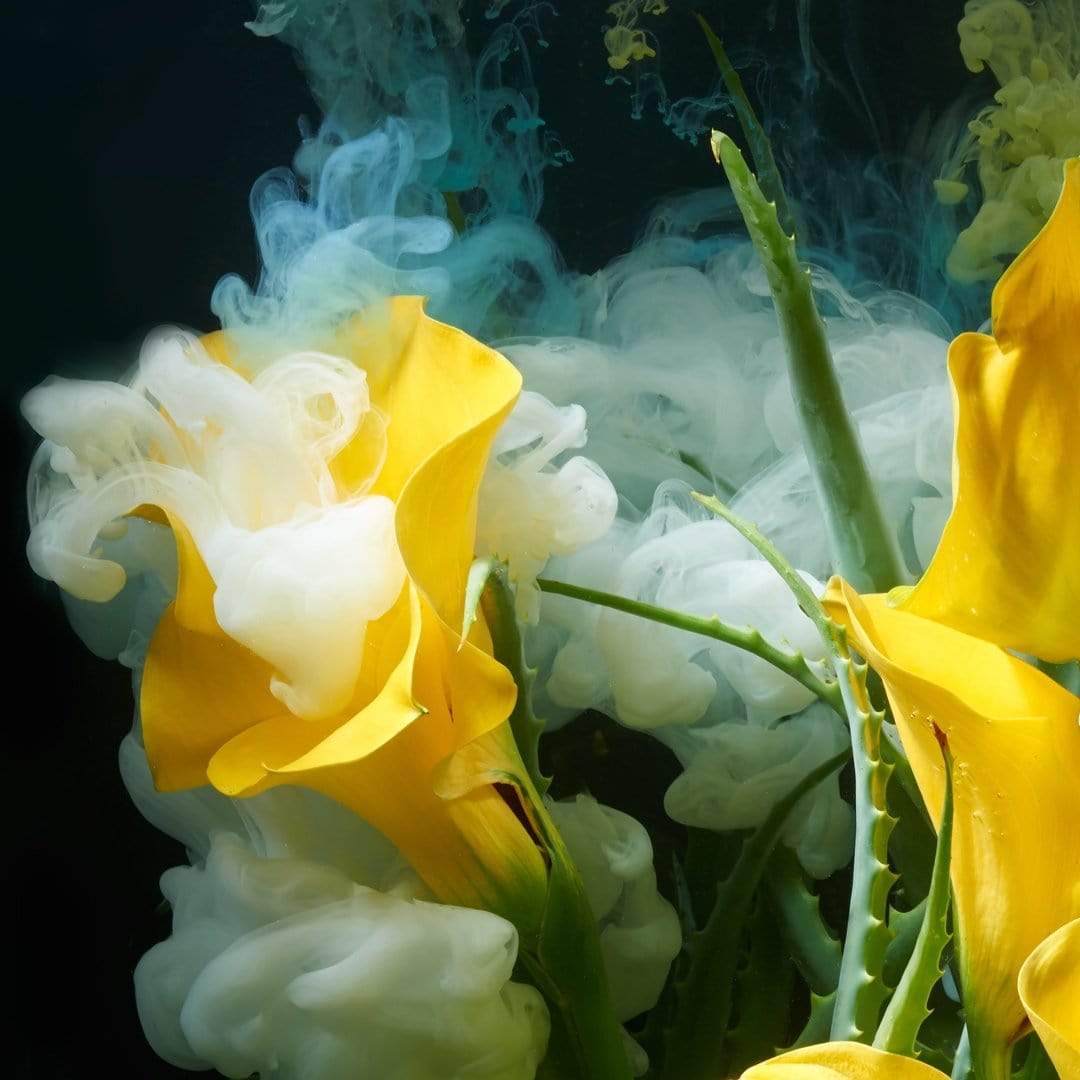 Calla Ritual Photographic Print by Georgie Malyon