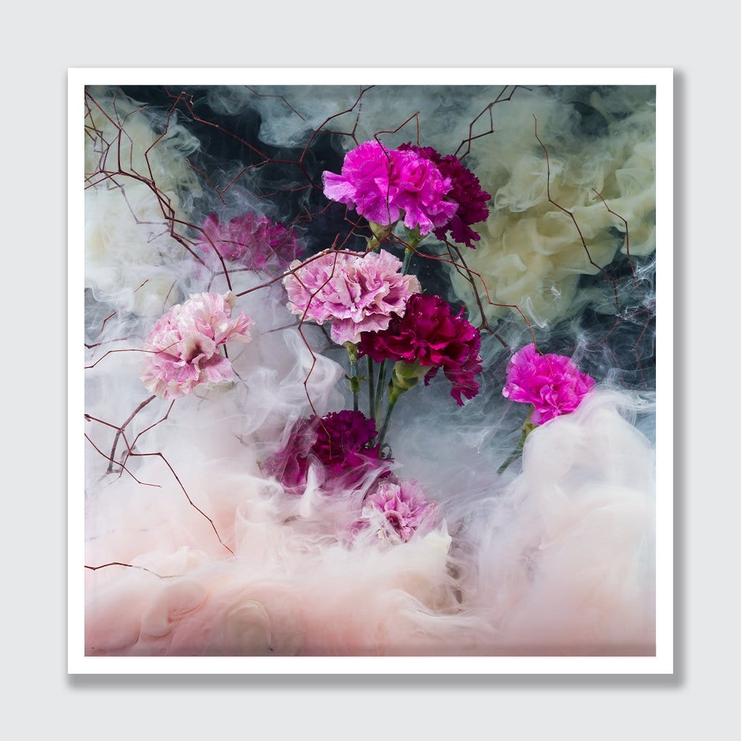 Carnations Photographic Print by Georgie Malyon