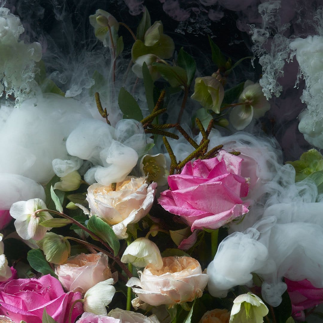 Celestial Blossoms Photographic Print by Georgie Malyon