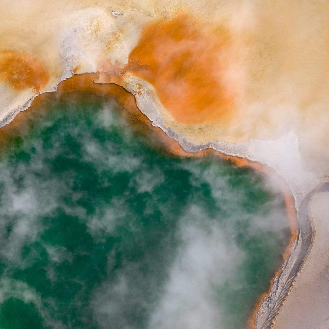 Champagne Photographic Print by Petra Leary