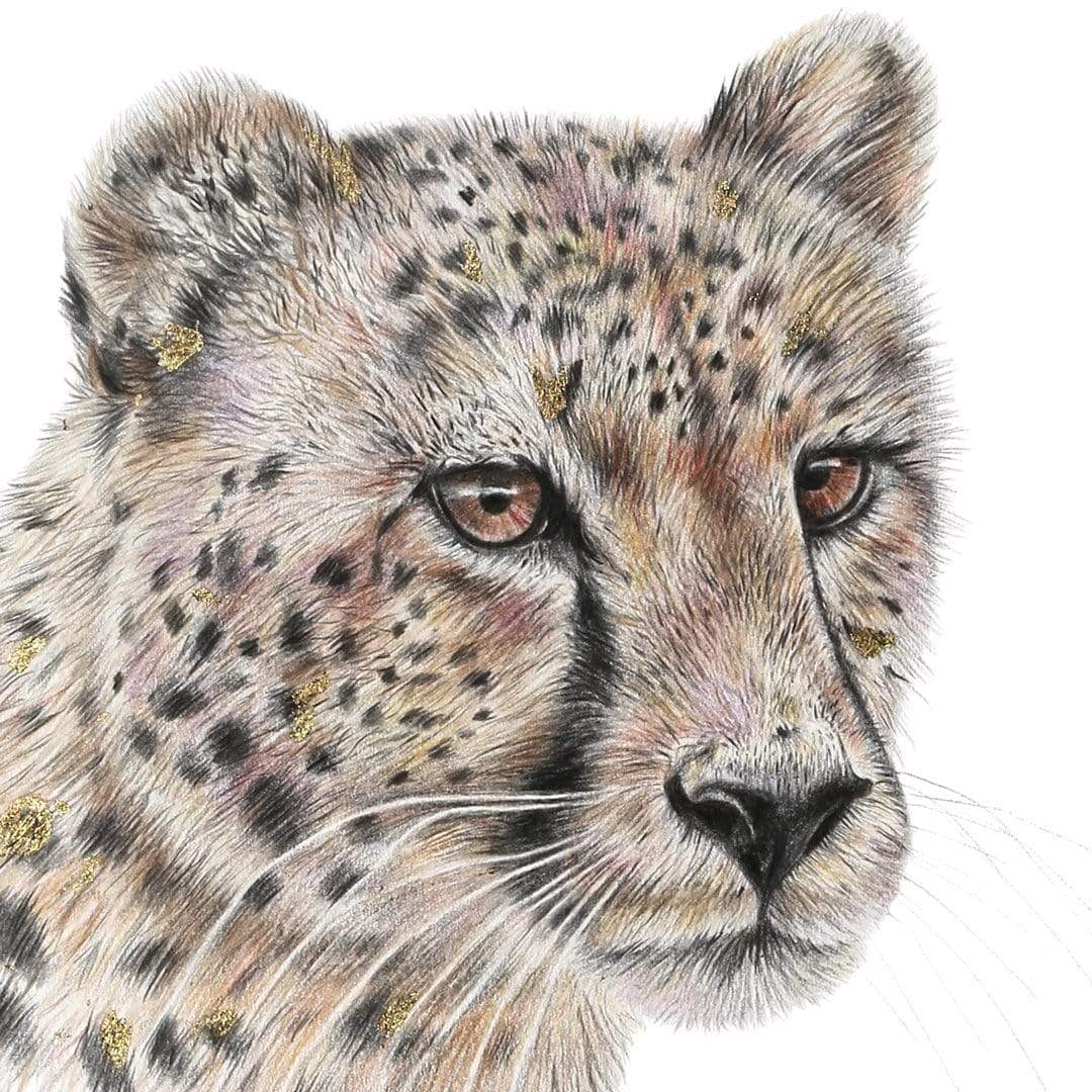 Realistic cheetah illustration - Stock Illustration [74948587] - PIXTA
