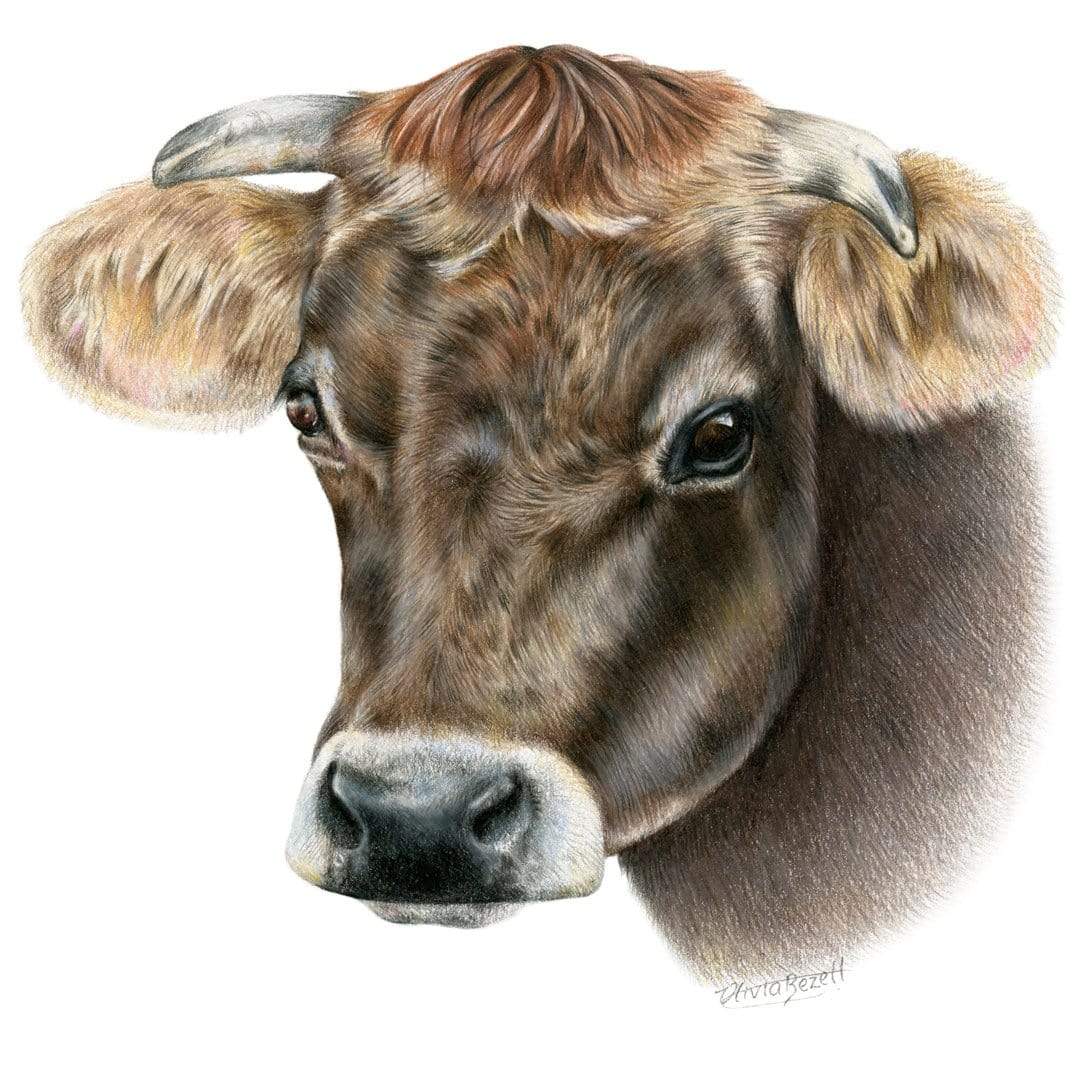 Cow Art Print by Olivia Bezett