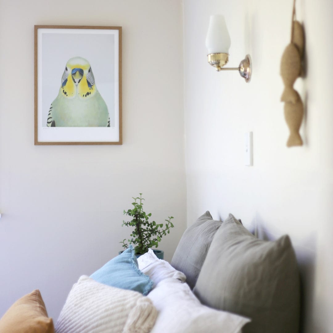 Cyril Budgie Art Print by Margaret Petchell