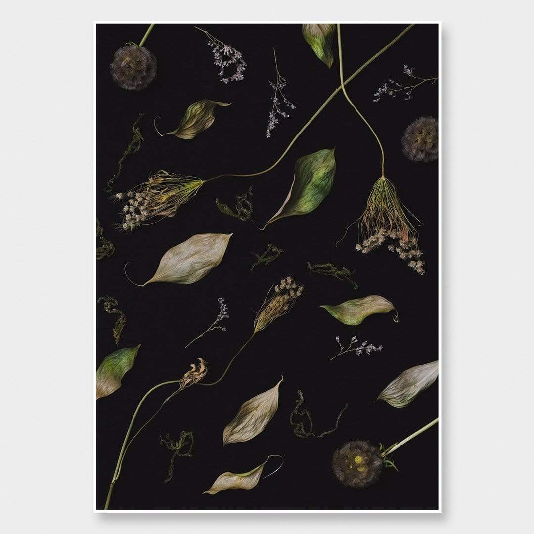 Dionysus Photographic Print by Maegan McDowell