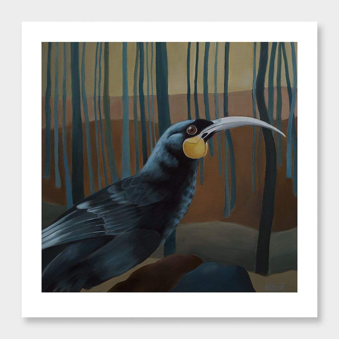 Douglas Huia Art Print by Margaret Petchell