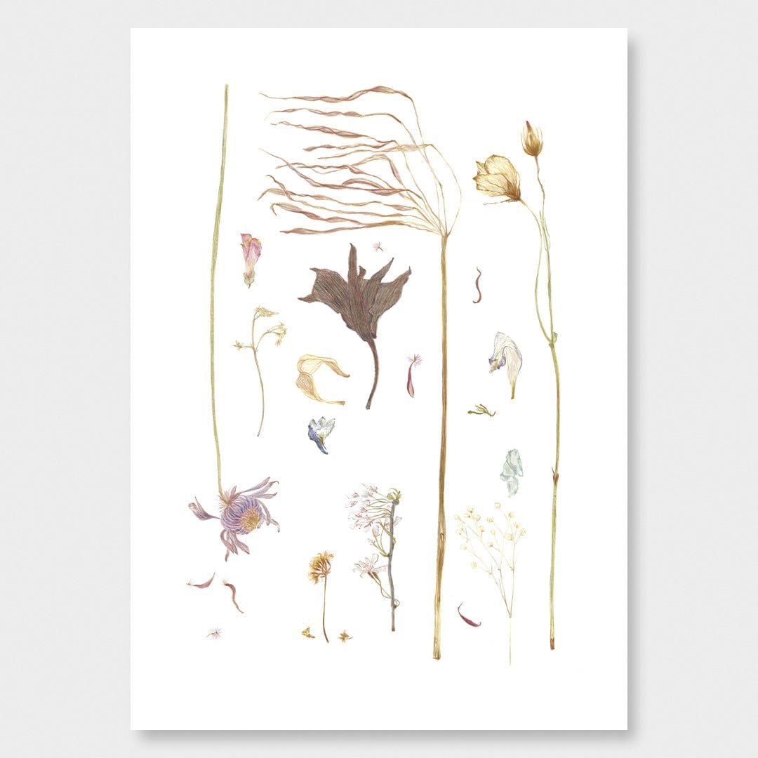 Dried Flower Petals, Freedom - Vrijheid Limited Edition Art Print by Nanda Rammers