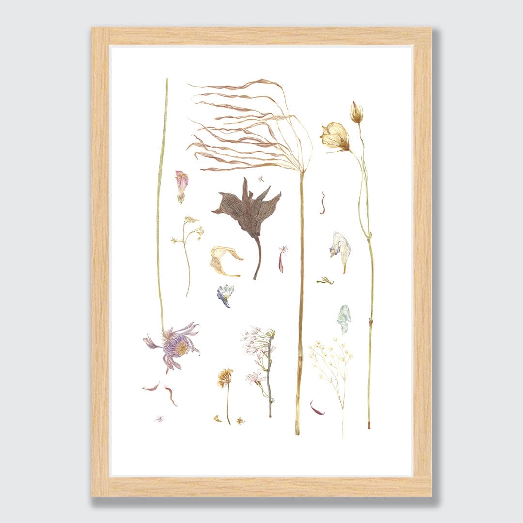 Dried Flower Petals, Freedom - Vrijheid Limited Edition Art Print by Nanda Rammers