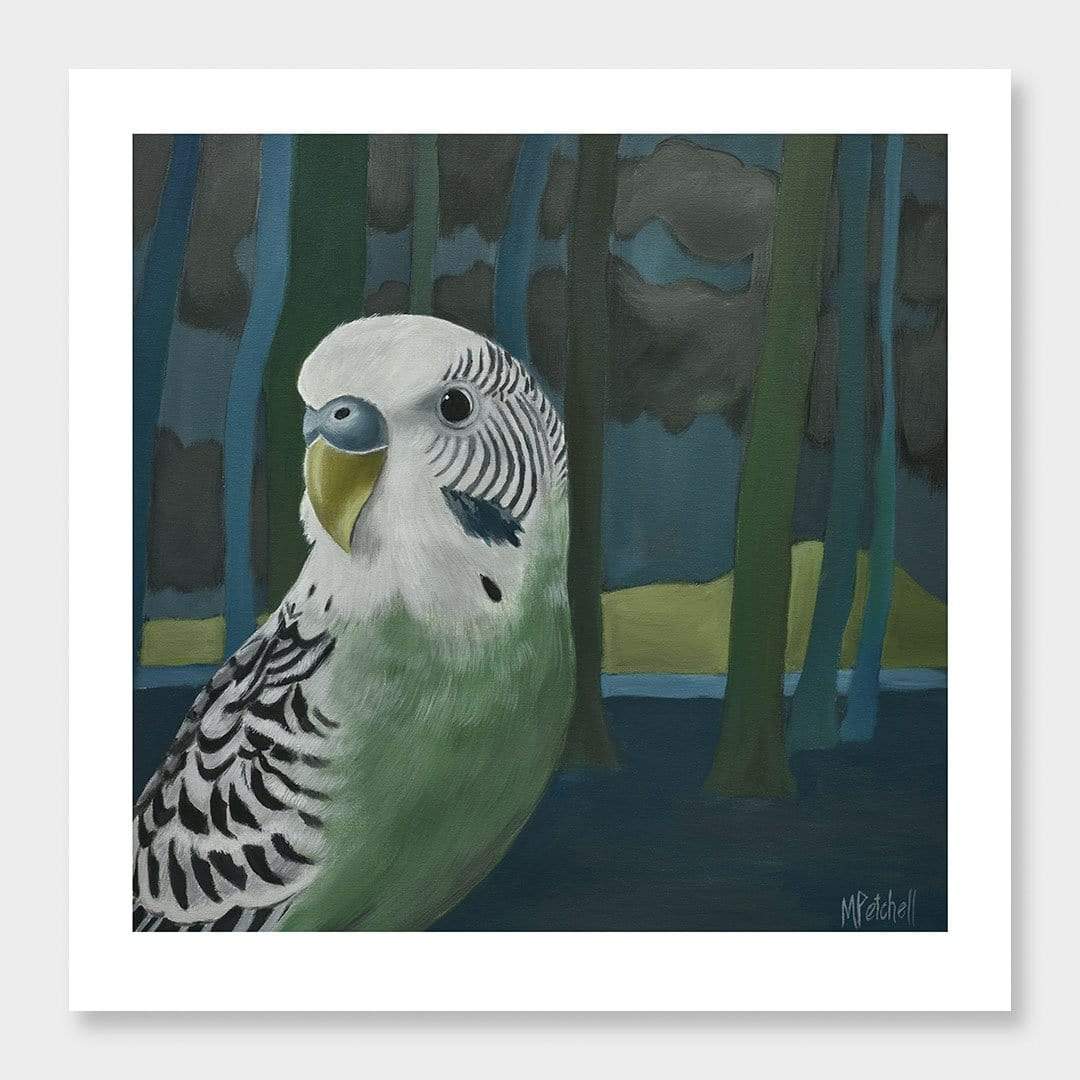 Ethyl Budgie Art Print by Margaret Petchell