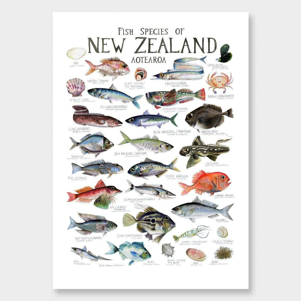 What do we already know about fish?