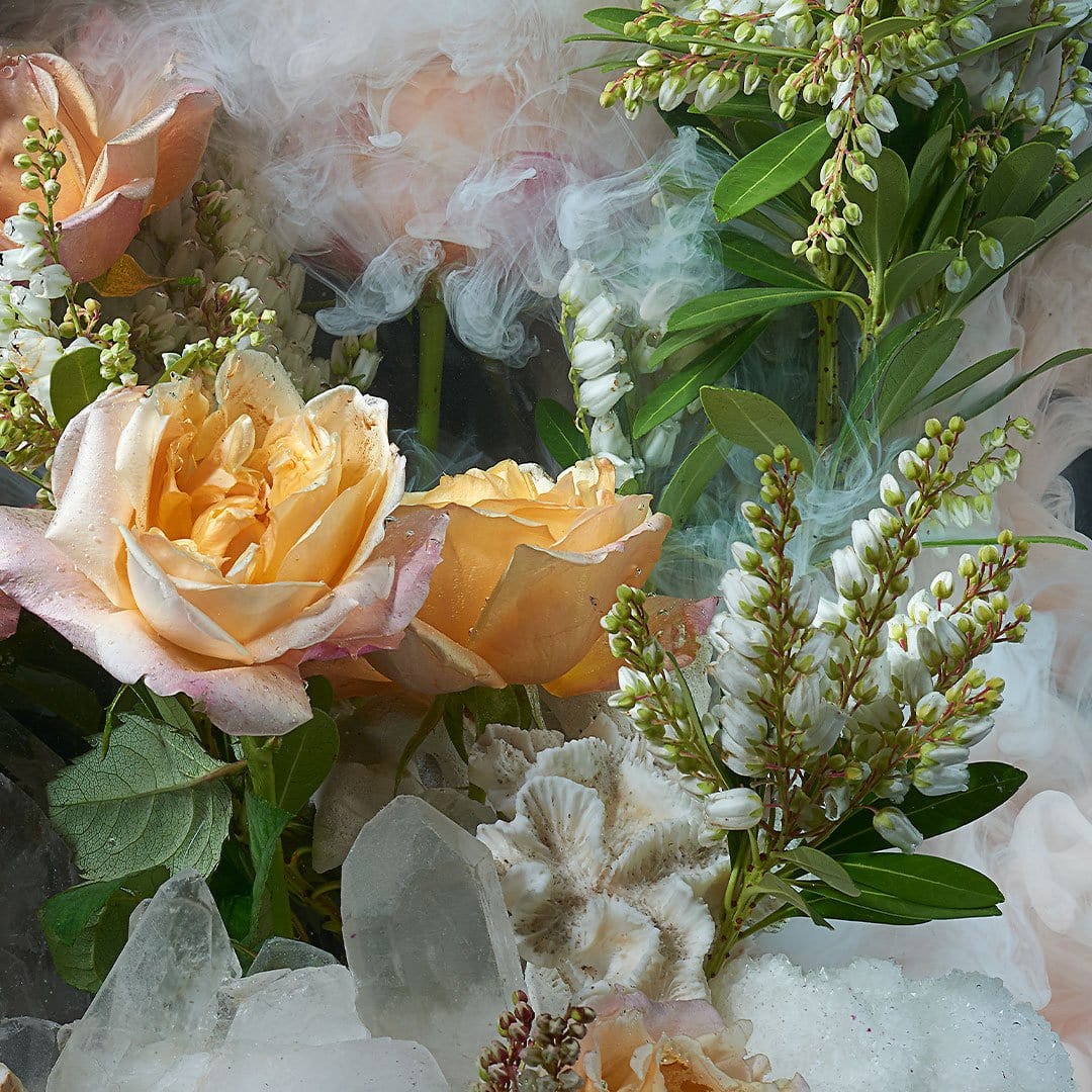 Floral Apparations Photographic Print by Georgie Malyon