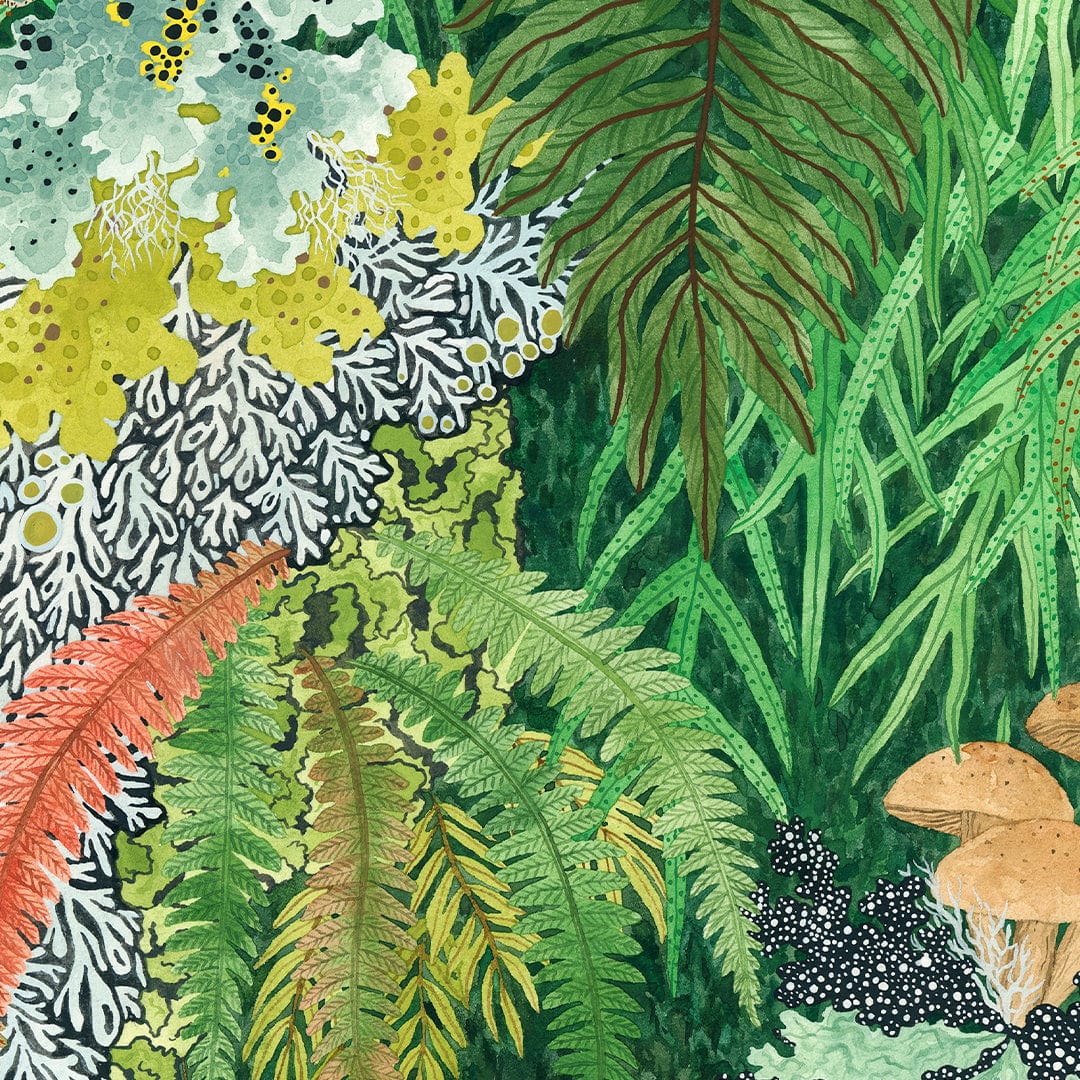 Fronds and Fungi 2 Art Print by Emma Huia Lovegrove