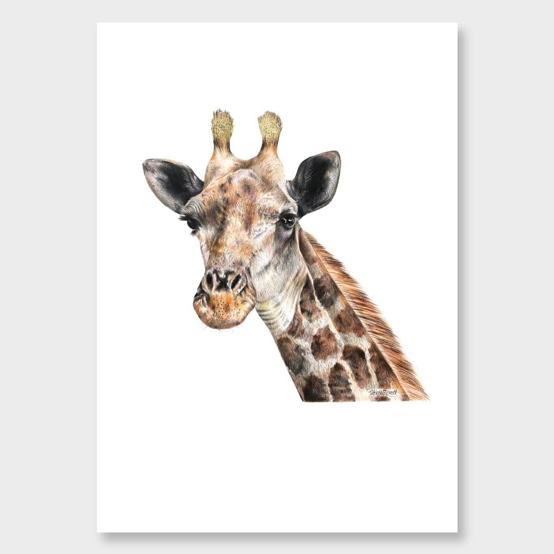 Giraffe Art Print by Olivia Bezett