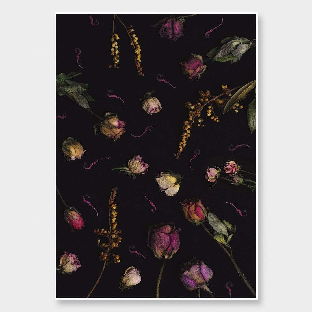 Hera Photographic Print by Maegan McDowell