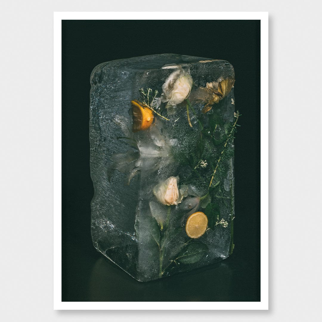Ice Flower VII Photographic Print by Maegan McDowell