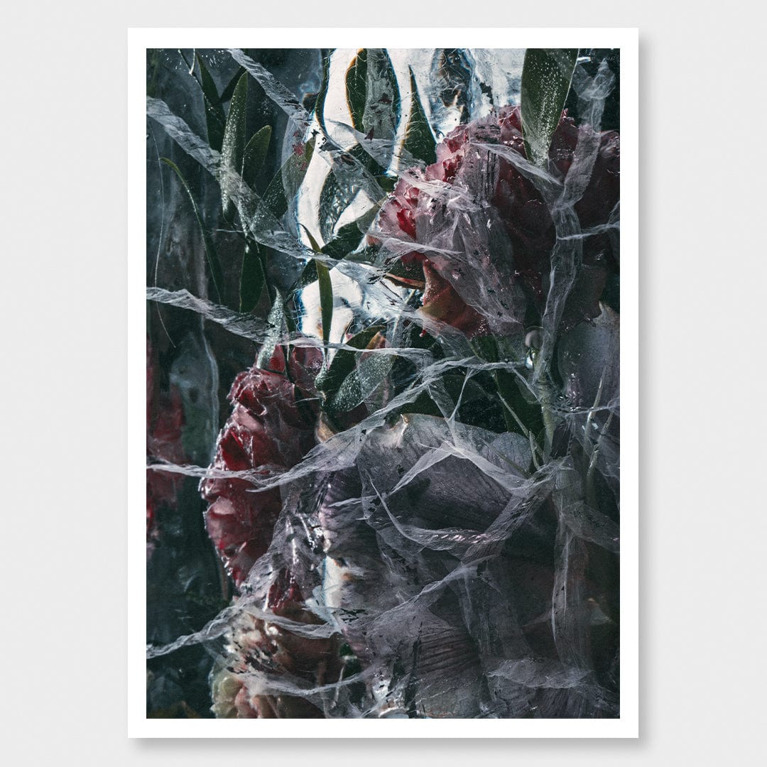 Ice Flower XIII Photographic Print by Maegan McDowell