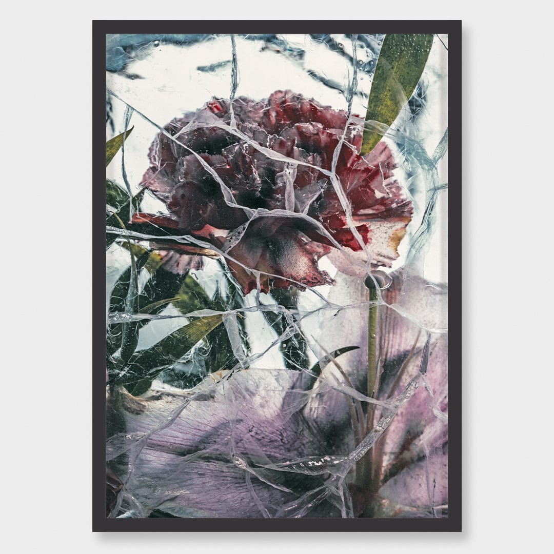 Ice Flower XV Photographic Print by Maegan McDowell