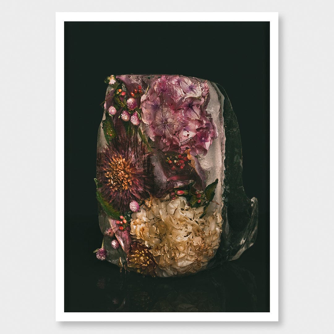 Ice Flower XXVI Photographic Print by Maegan McDowell